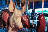 Pig head for sale at Hat Yai Nai temple market - Click for larger image Pig head for sale at Hat Yai Nai temple market - Click for larger image